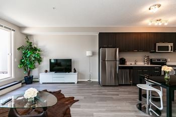 Quartz counter tops